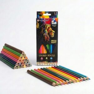 LAPICES TRIANGULARES SIMPLES X12